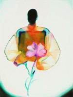 Ana D'Apuzzo - Artworks